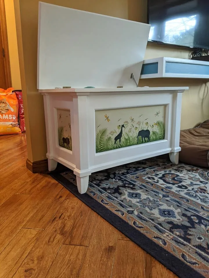 Toy Boxes