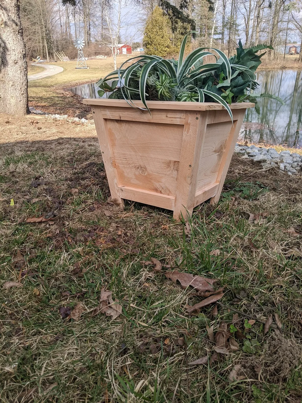 Cedar Planters