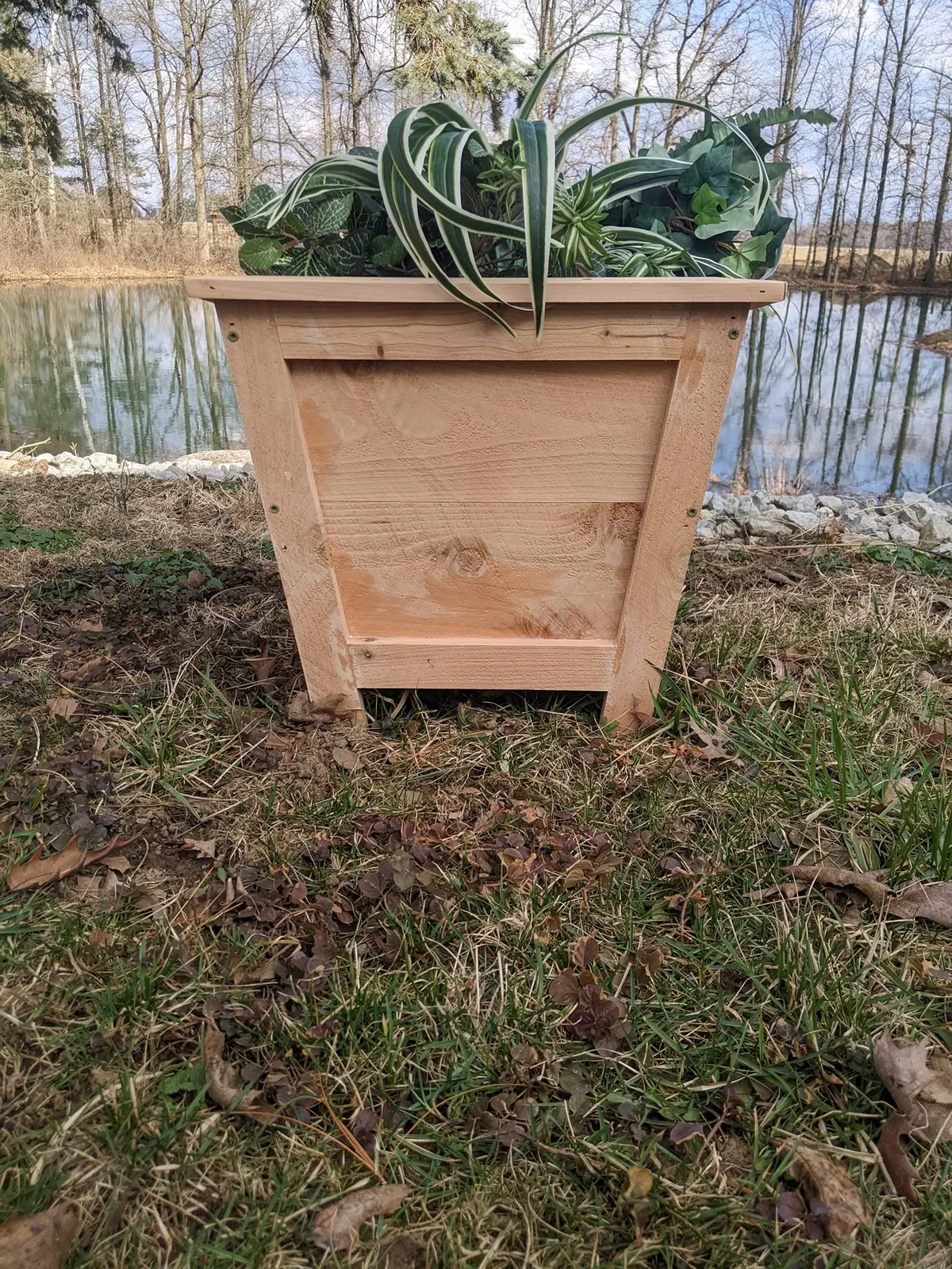 Cedar Planters